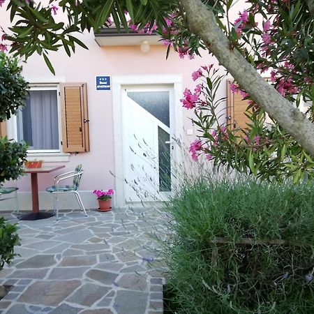 Apartmani Vesna Buje Exterior photo